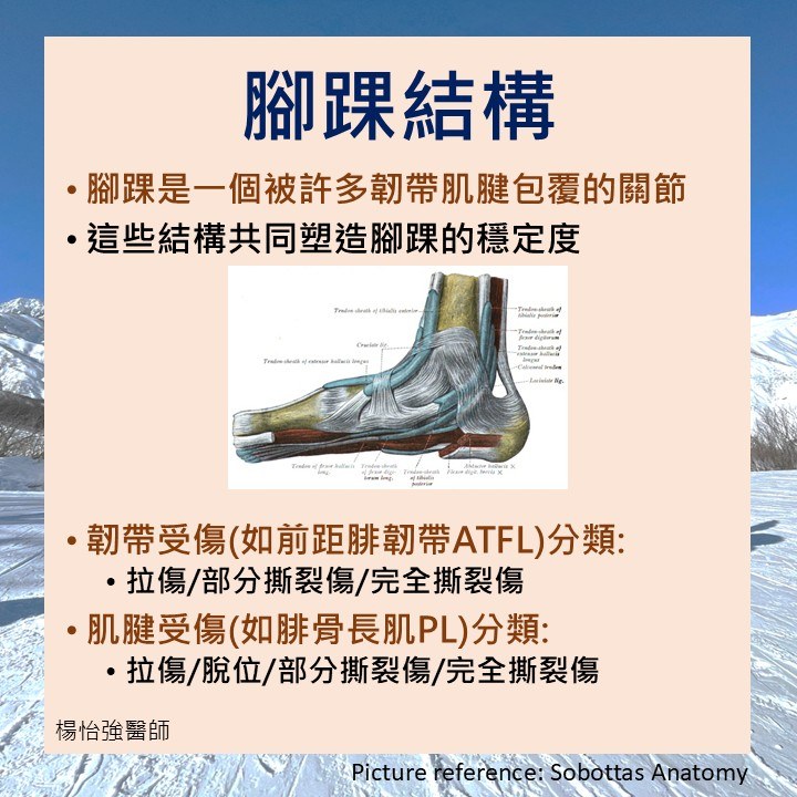 腳踝在雪靴中的固定原理